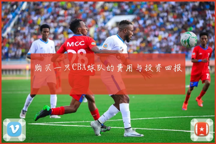 购买一只CBA球队的费用与投资回报