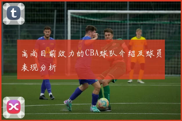 高尚目前效力的CBA球队介绍及球员表现分析