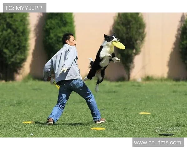 重庆飞盘队在极限运动世界杯上的拼搏历程与荣耀时刻分享