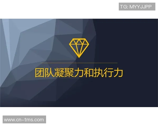 以教练为核心打造高效团队管理模式提升团队整体执行力与凝聚力