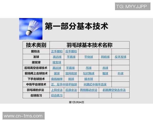 重庆羽毛球队整体压制战术解析与实战应用探讨